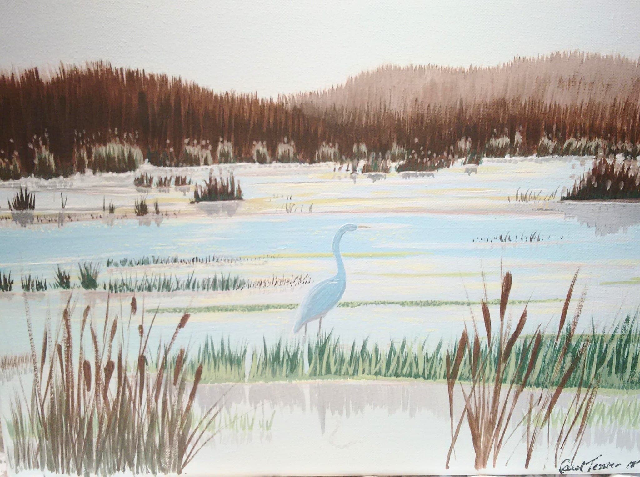 Morning in the Lagoon, painting by Carol Tessier